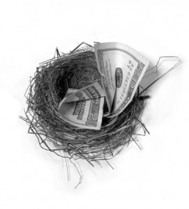 Money in a nest- Protect your budget when buying a pellet stove