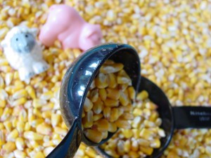 use corn in sensor table