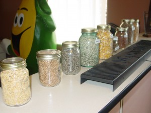 renewable fuel