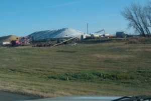 corn pile piles of corn left to rot