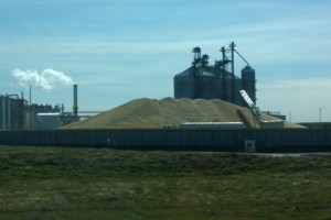 corn pile