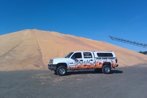 corn pile corn pile