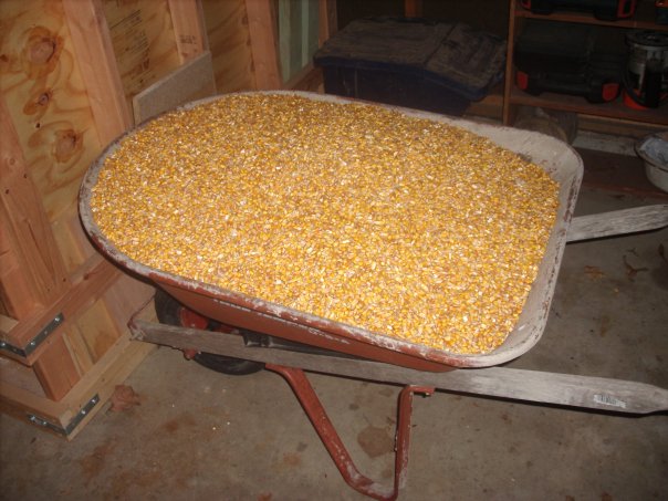 pellet stove fuel
