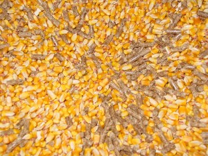 corn and wood pellets
