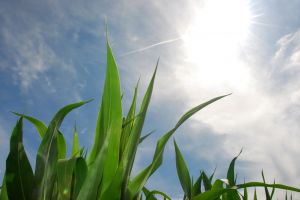 alternative heating appliances grow in enhancements
