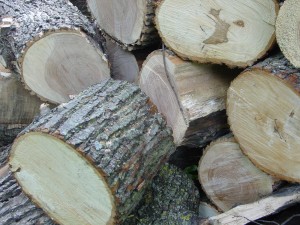 wood pile