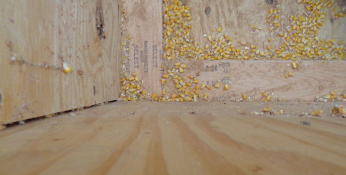 corn or wood pellet supply